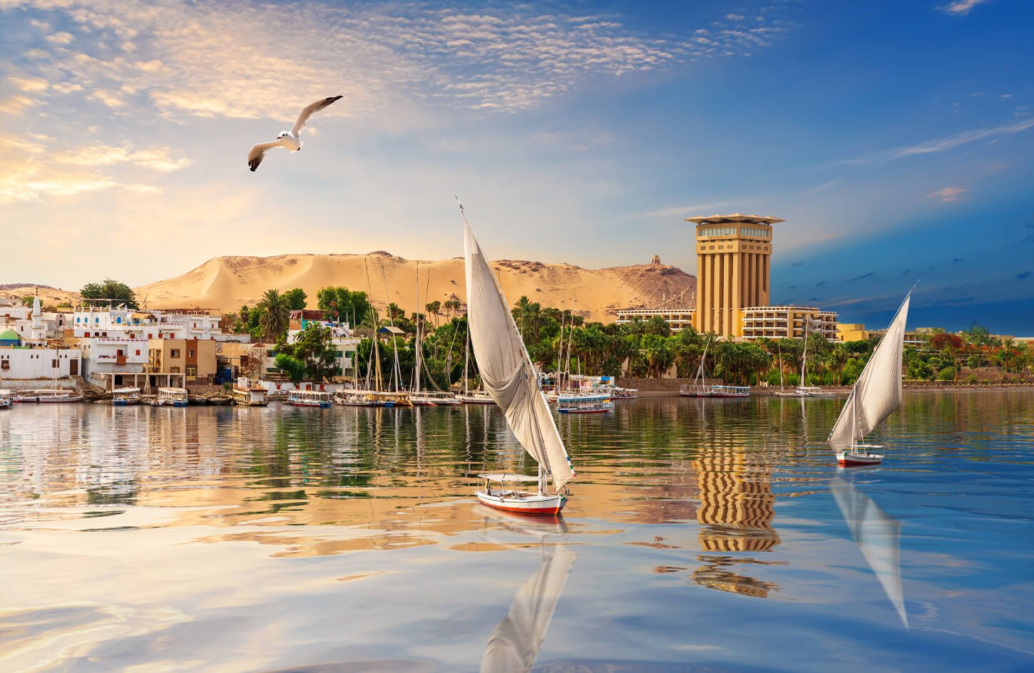 aswan-nile-river-scenery-beautiful-view